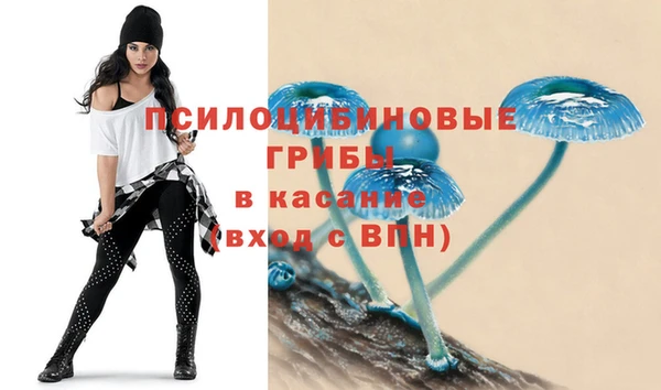 спиды Алзамай