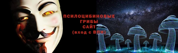 кокс Алексин