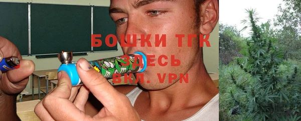 ПСИЛОЦИБИНОВЫЕ ГРИБЫ Алексеевка
