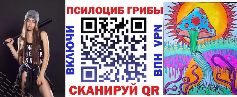 Галлюциногенные грибы Psilocybine cubensis  Берёзовка 